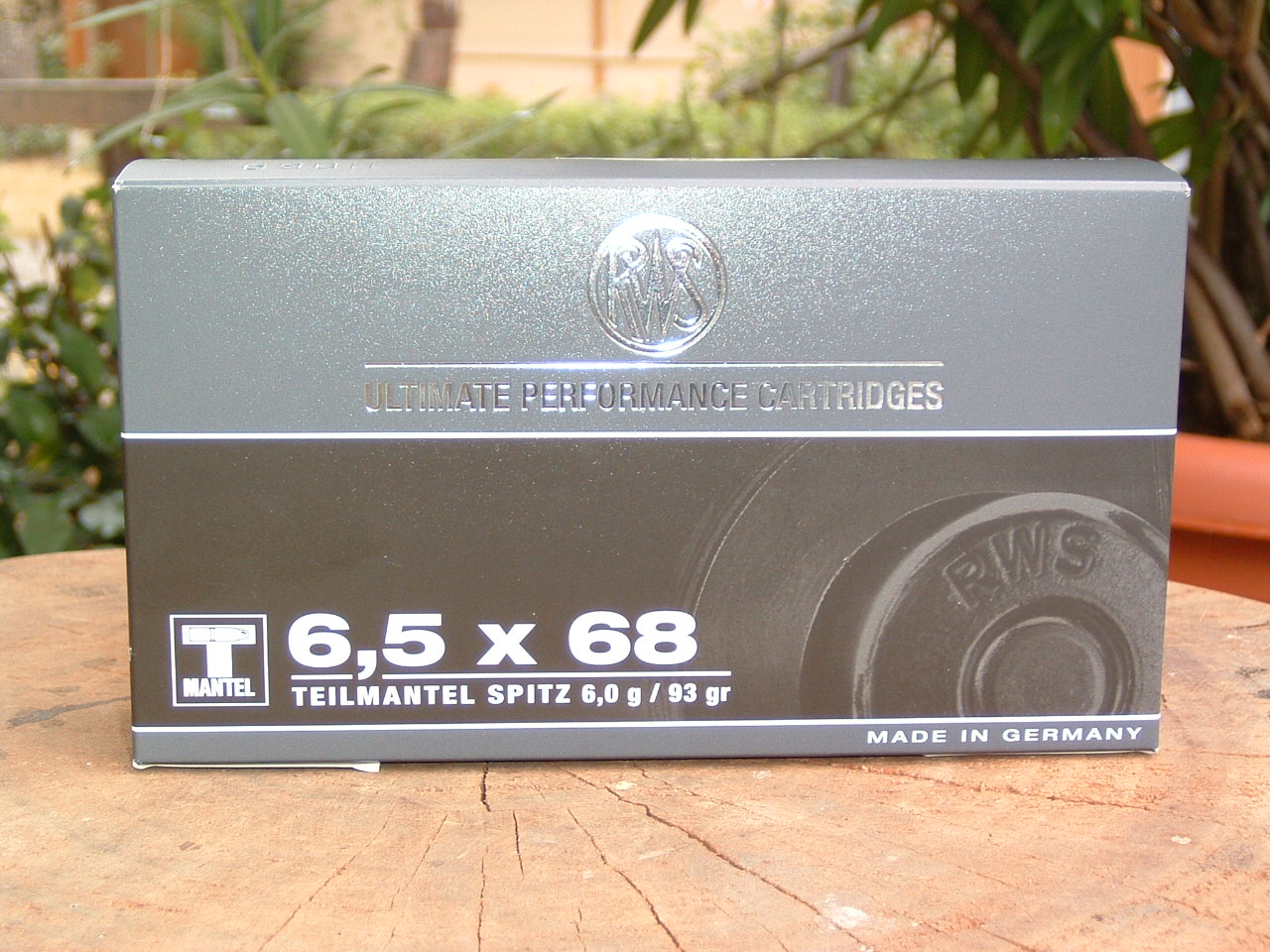 RWS 6,5X68 TM 6g