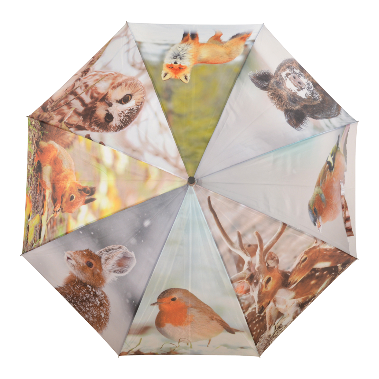 TP209 Esernyő, téli állatokkal