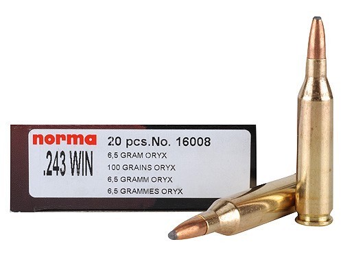 16008 Norma Oryx 243 Win 6,5g